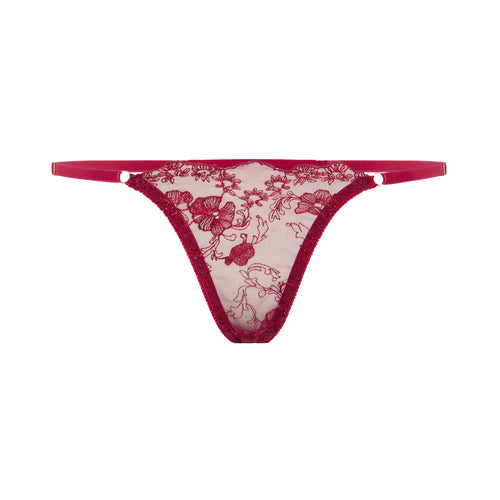Red Divine Embroidered Tulle Thong